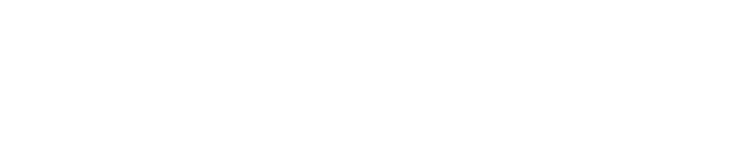 侍伊織とは？